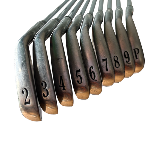 Titleist - 731 PM -  [2 - PW] - Stiff [Zurdo]